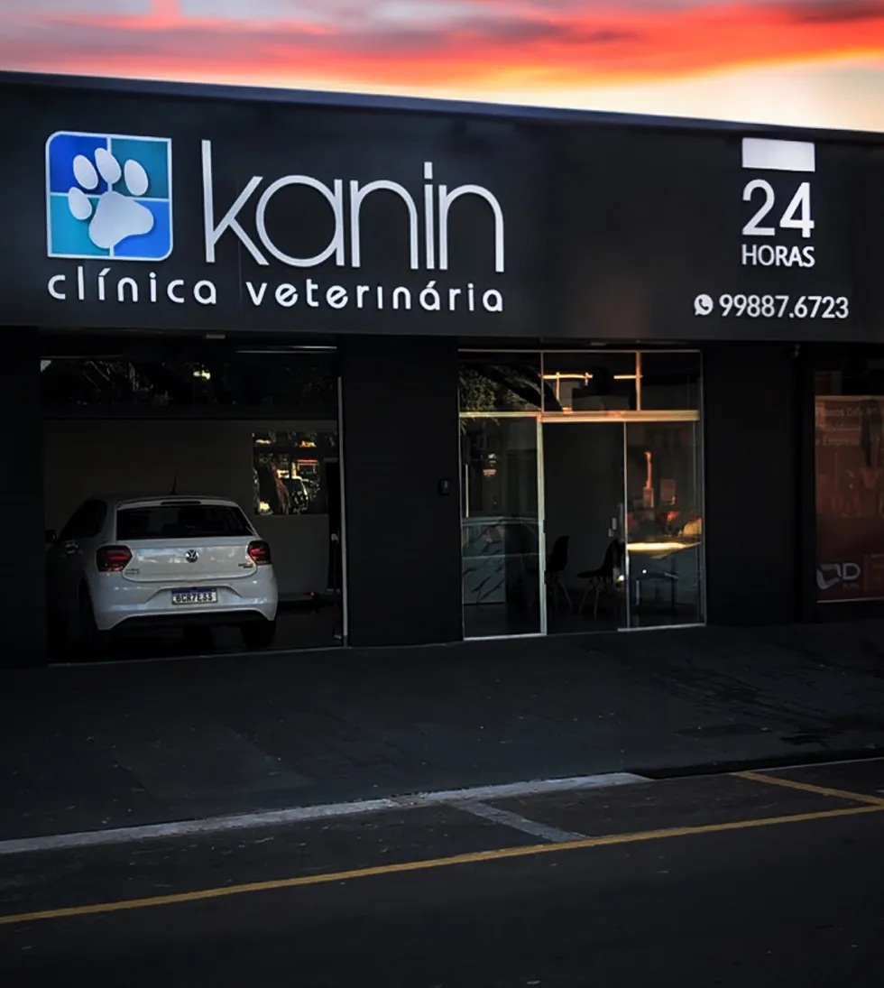 Clínica Veterinária em Maringá 24 horas - Kanin